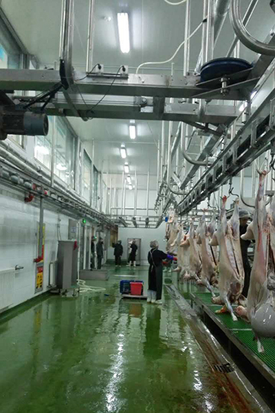 Processamento de carne ovina para HaiDiLao Hotpot 
