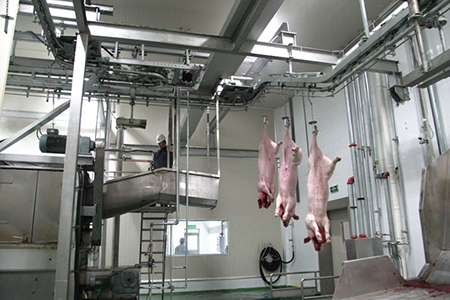 Matadouro para suínos – com controlo de qualidade e rastreabilidade