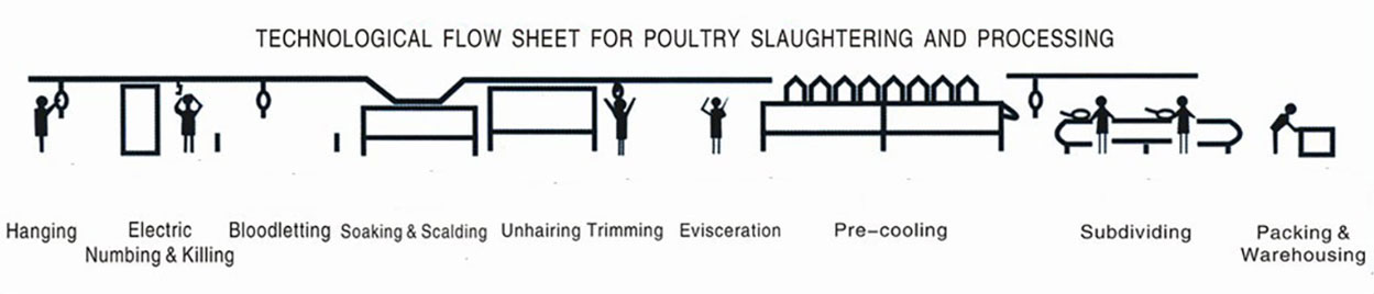 Equipamentos para matadouros - avícolas